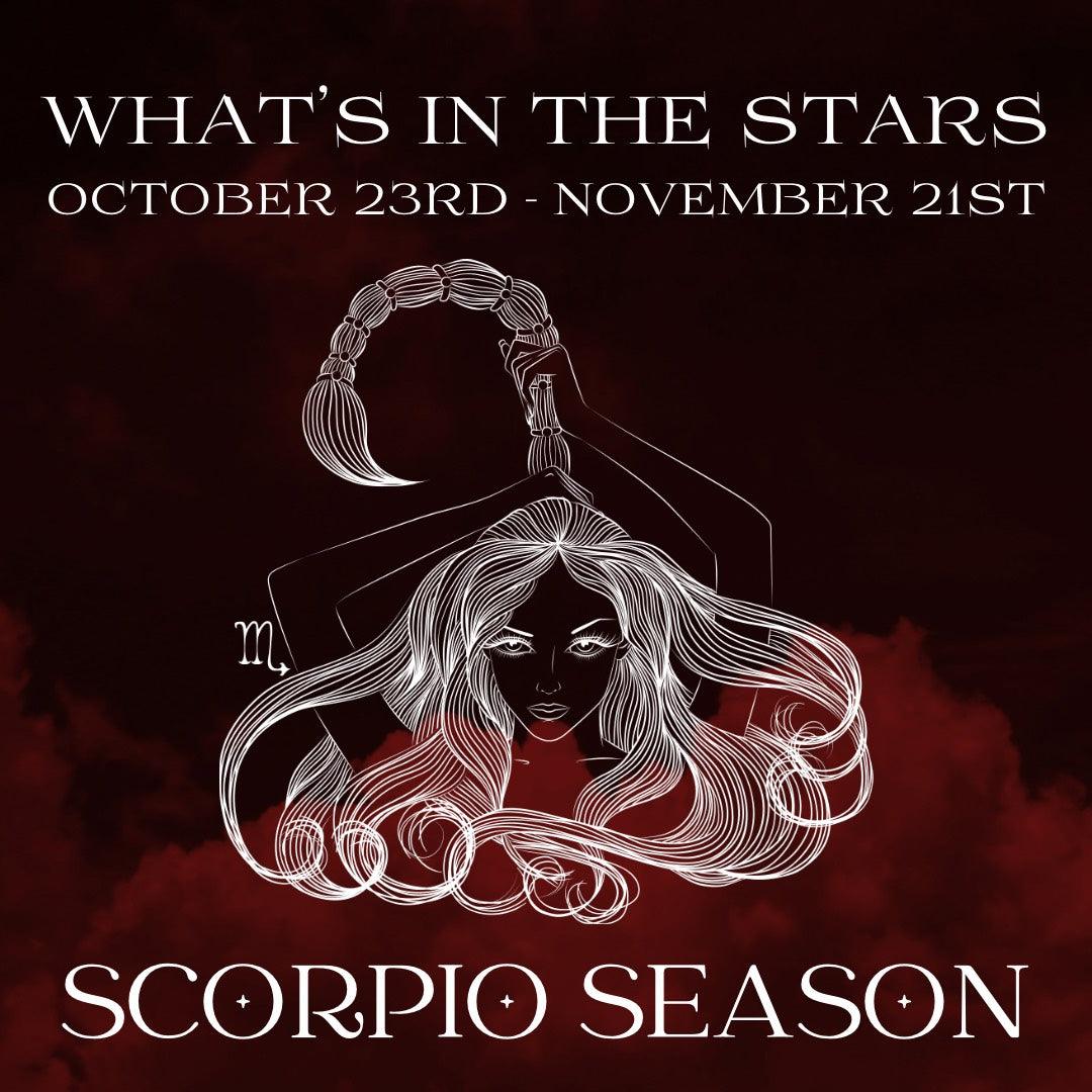 WITS: YOUR GUIDE TO SCORPIO SEASON 2023 + SCORPIO ZODIAC STONES - Acid Queen Jewelry