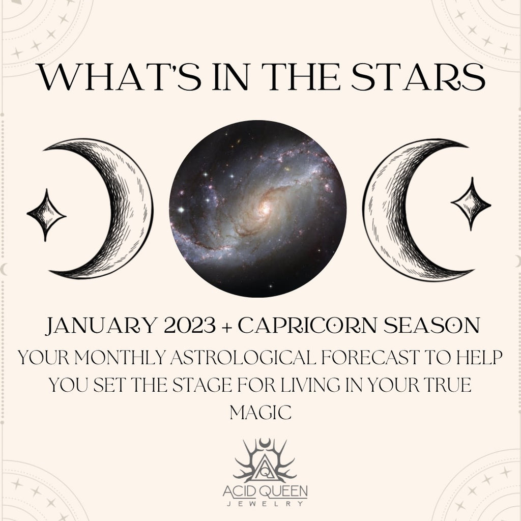 WHAT'S IN THE STARS: JANUARY 2023 + CAPRICORN ZODIAC BIRTHSTONES - Acid Queen Jewelry
