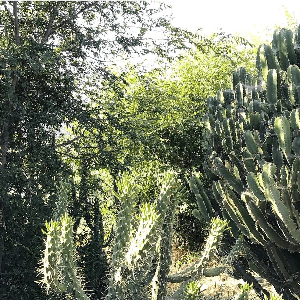 How we're honoring Summer with magic and awesome adventures.... - acid-queen-jewelry