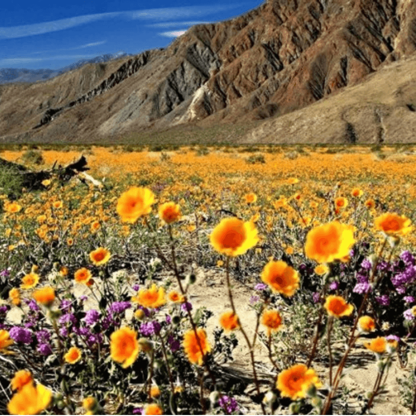 Welcoming The Spring Equinox - acid-queen-jewelry