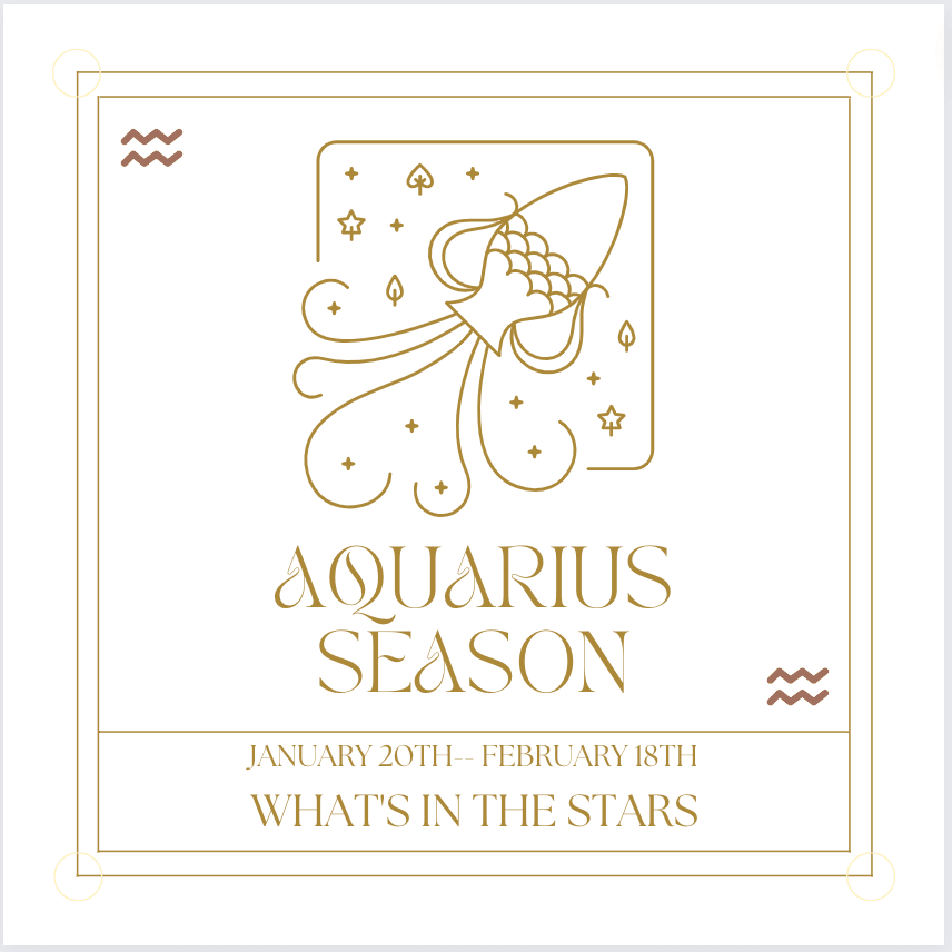 WHAT'S IN THE STARS: YOUR GUIDE TO AQUARIUS SEASON 2023 + AQUARIUS ZODIAC STONES - Acid Queen Jewelry
