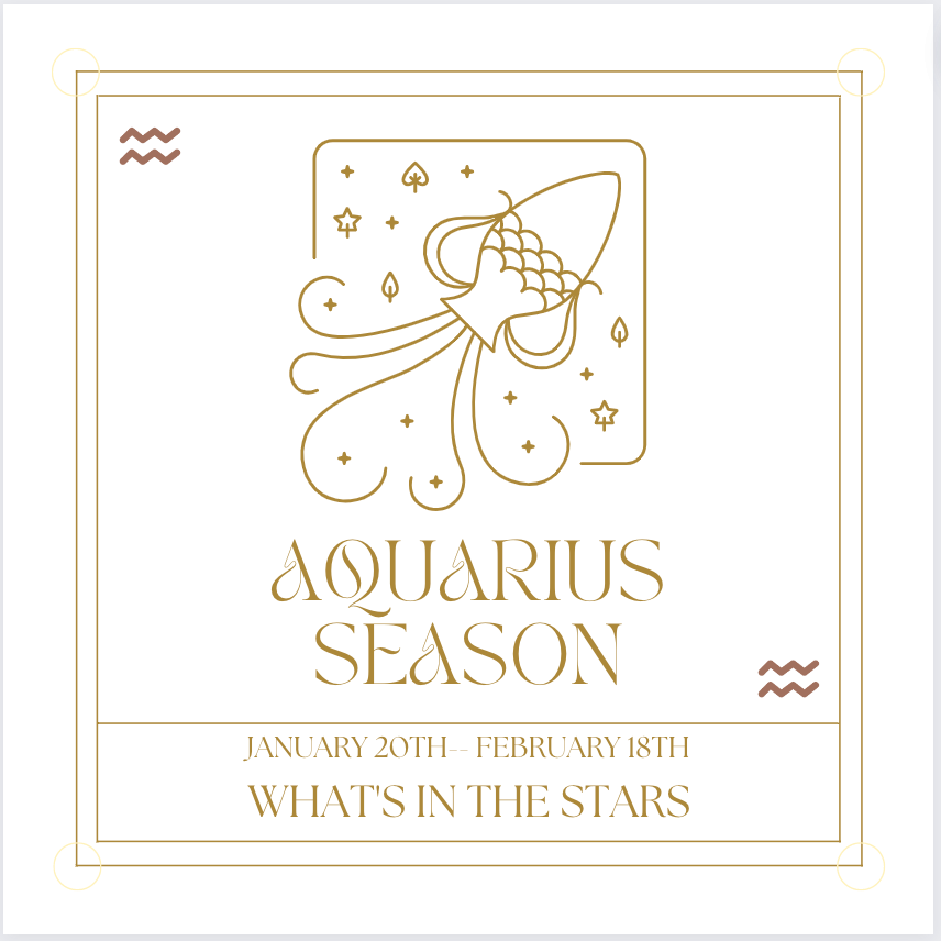 WHAT'S IN THE STARS: YOUR GUIDE TO AQUARIUS SEASON 2023 + AQUARIUS ZODIAC STONES - Acid Queen Jewelry