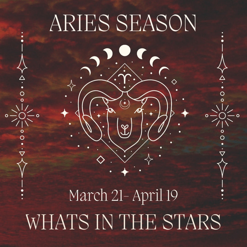 WITS: YOUR GUIDE TO ARIES SEASON 2023 + ARIES ZODIAC STONES - Acid Queen Jewelry