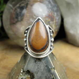 Warrior Ring // Tiger Iron - Size 8
