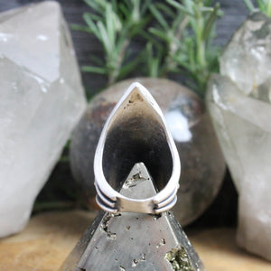 Warrior Ring // Tiger Iron - Size 9 - Acid Queen Jewelry